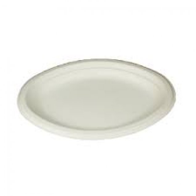 Morning Tea Plate (20)