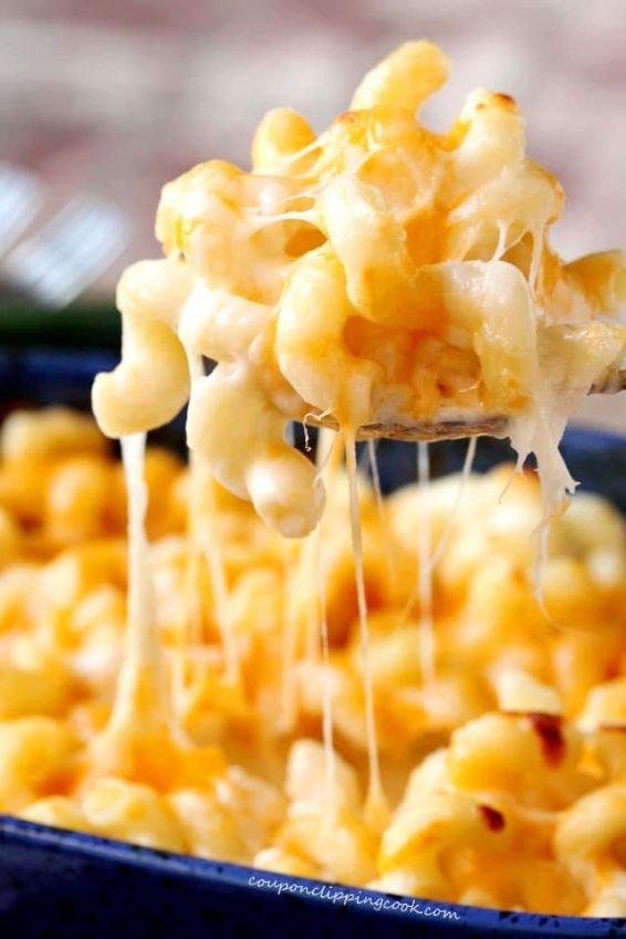 Mac & Cheese Chicken