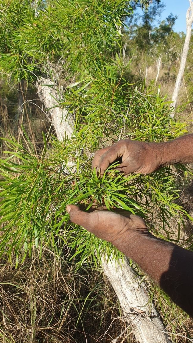 Kulbanyi Iced Tea - 1 Litre 