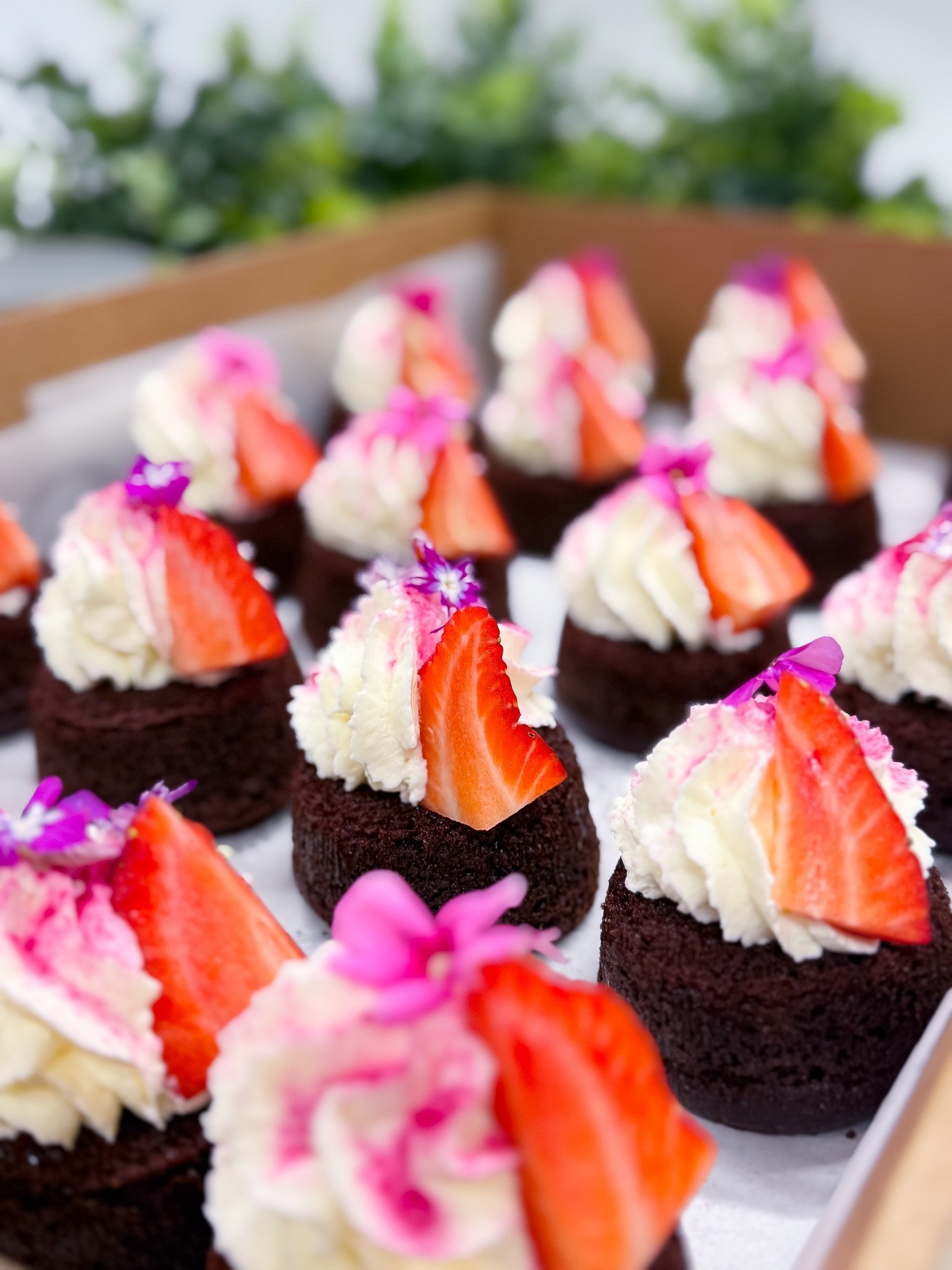 Chocolate Mini Cake with Vanilla Cream & Berries