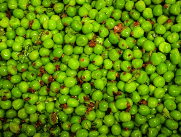Minted Peas