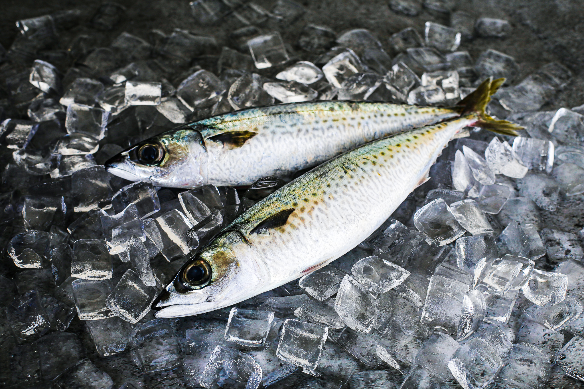 Whole Blue Mackerel (1kg)