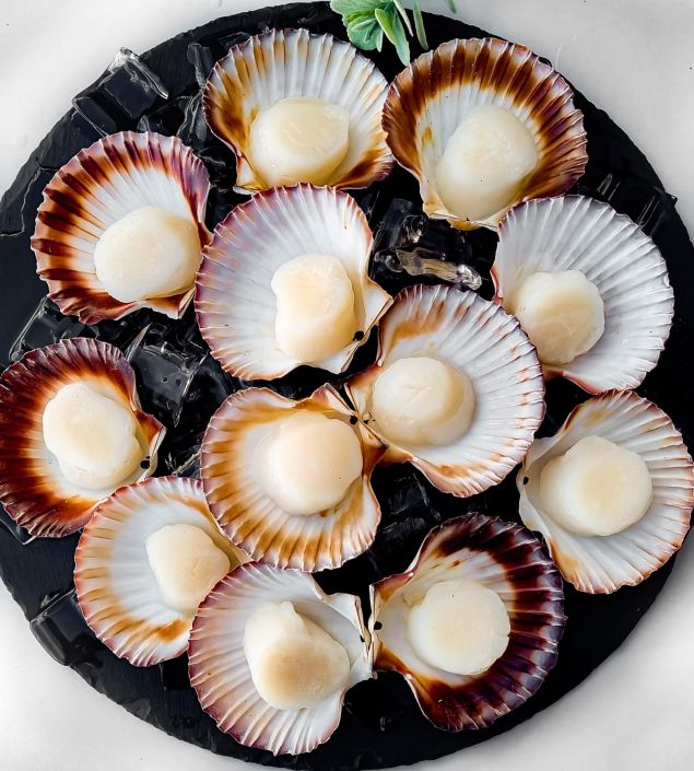 Scallops Half-Shell Roe OFF (1 Dozen) (CHRISTMAS)