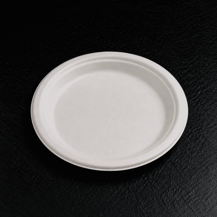 Disposable plate